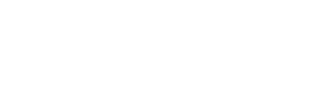 Payton Security logo in white